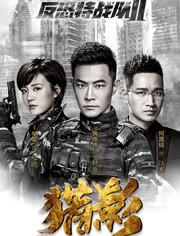 【直链】电视剧《反恐特战队之猎影（2017）》 - 1080P/720P高清HD下载
