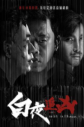 【直链】电视剧《白夜追凶（2017）》 - 1080P/720P高清HD下载