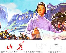 【直链】电影《山花（1976）》 - 1080P/720P高清HD下载