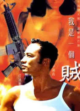 【直链】电影《我是一个贼（1995）》 - 1080P/720P高清HD下载