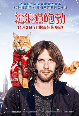 【直链】电影《流浪猫鲍勃（2016）》 - 1080P/720P高清HD下载