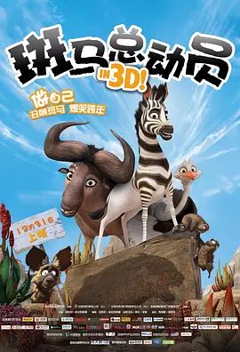 【直链】电影《斑马总动员（2013）》 - 1080P/720P高清HD下载