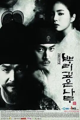 【直链】电视剧《树大根深（2011）》 - 1080P/720P高清HD下载