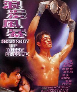 【直链】电影《浪漫风暴（1996）》 - 1080P/720P高清HD下载