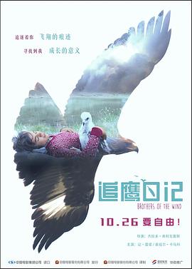 【直链】电影《追鹰日记（2015）》 - 1080P/720P高清HD下载