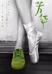 【直链】电影《芳华纪录片：我把芳华献给你（2017）》 - 1080P/720P高清HD下载