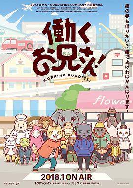 【直链】综艺节目《打工小哥（2018）》 - 1080P/720P高清HD下载