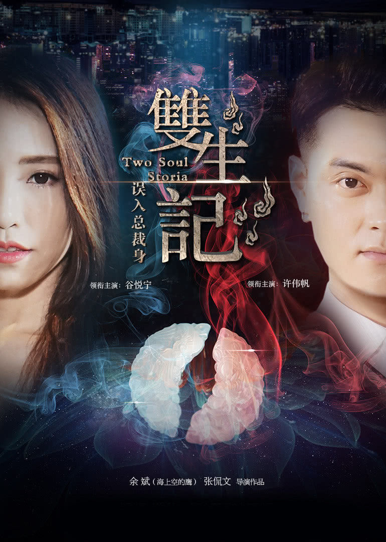 【直链】电影《双生记之误入总裁身（2016）》 - 1080P/720P高清HD下载