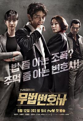 【直链】电视剧《武法律师（2018）》 - 1080P/720P高清HD下载