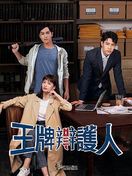 【直链】电视剧《王牌辩护人（2020）》 - 1080P/720P高清HD下载