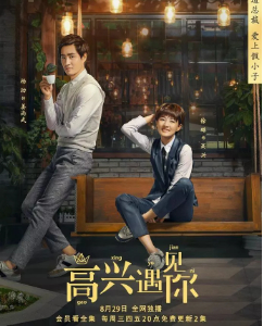 【直链】电视剧《高兴遇见你（2018）》 - 1080P/720P高清HD下载