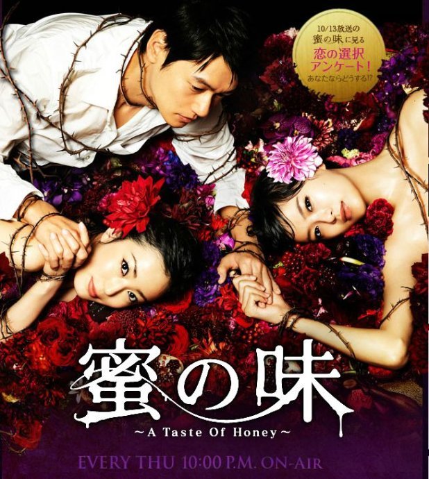 【直链】电视剧《蜜之味（2011）》 - 1080P/720P高清HD下载