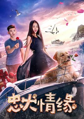 【直链】电影《忠犬情缘（2017）》 - 1080P/720P高清HD下载