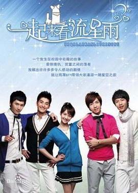 【直链】电视剧《一起来看流星雨（2009）》 - 1080P/720P高清HD下载
