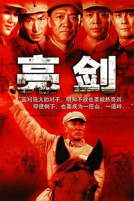 【直链】电视剧《亮剑（2005）》 - 1080P/720P高清HD下载
