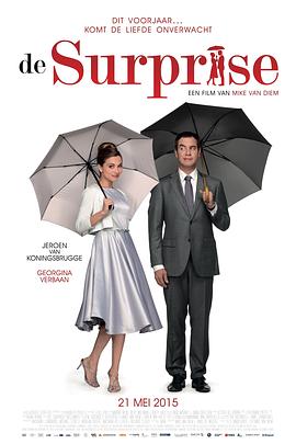 【直链】电影《意外制造公司（2015）》 - 1080P/720P高清HD下载