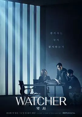 【直链】电视剧《监视者（2019）》 - 1080P/720P高清HD下载