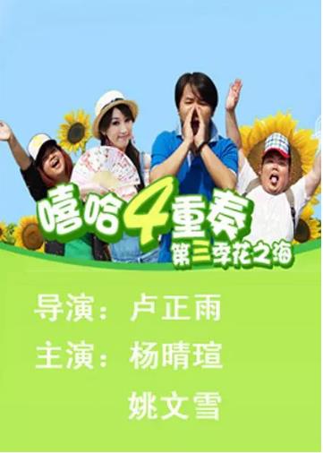 【直链】电视剧《嘻哈四重奏 第三季（2010）》 - 1080P/720P高清HD下载