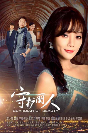 【直链】电视剧《守护丽人（2017）》 - 1080P/720P高清HD下载