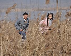 【直链】电影《天鹅城之恋（2011）》 - 1080P/720P高清HD下载