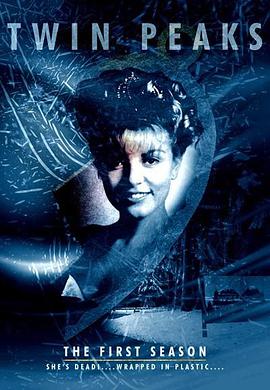 【直链】电视剧《双峰 第一季（1990）》 - 1080P/720P高清HD下载