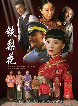 【直链】电视剧《铁梨花（2010）》 - 1080P/720P高清HD下载