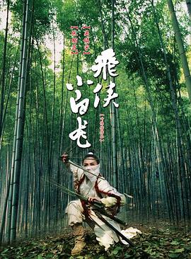 【直链】电影《飞侠小白龙（2004）》 - 1080P/720P高清HD下载