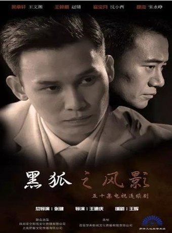 【直链】电视剧《黑狐之风影（2016）》 - 1080P/720P高清HD下载