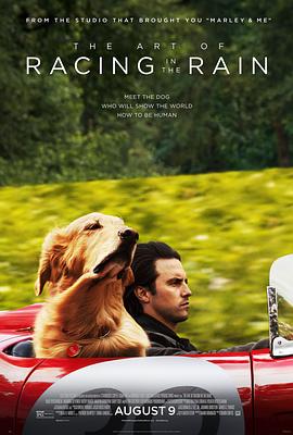 【直链】电影《我在雨中等你（2019）》 - 1080P/720P高清HD下载