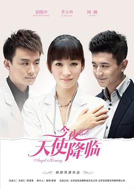 【直链】电视剧《今夜天使降临（2013）》 - 1080P/720P高清HD下载