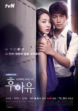 【直链】电视剧《你是谁（2013）》 - 1080P/720P高清HD下载