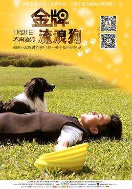 【直链】电影《金牌流浪狗（2014）》 - 1080P/720P高清HD下载