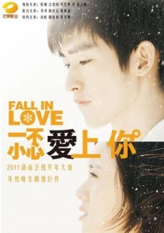 【直链】电影《一不小心爱上你（2011）》 - 1080P/720P高清HD下载