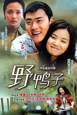 【直链】电视剧《野鸭子（2010）》 - 1080P/720P高清HD下载