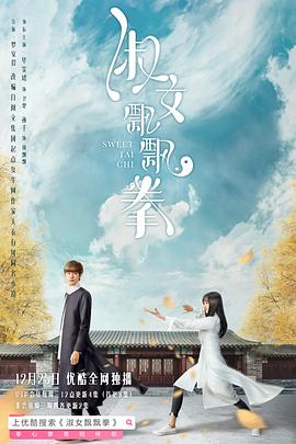 【直链】电视剧《淑女飘飘拳（2019）》 - 1080P/720P高清HD下载