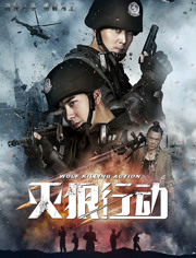 【直链】电影《灭狼行动（2020）》 - 1080P/720P高清HD下载