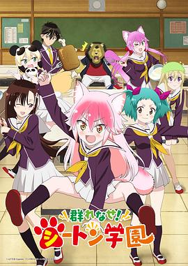 【直链】综艺节目《成群结伴！西顿学园（2020）》 - 1080P/720P高清HD下载