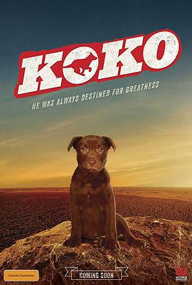 【直链】电影《Koko:红犬历险记（2019）》 - 1080P/720P高清HD下载