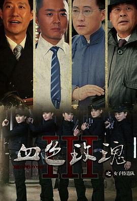 【直链】电视剧《铁血玫瑰（2012）》 - 1080P/720P高清HD下载