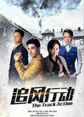 【直链】电视剧《追风行动（2018）》 - 1080P/720P高清HD下载