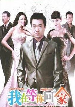 【直链】电视剧《我在等你回家（2011）》 - 1080P/720P高清HD下载