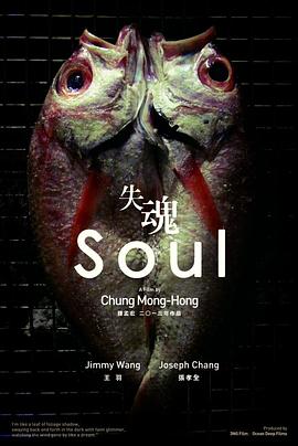 【直链】电影《失魂（2013）》 - 1080P/720P高清HD下载