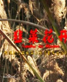【直链】电影《韭菜花开（2011）》 - 1080P/720P高清HD下载