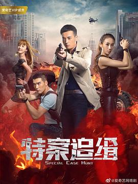 【直链】电视剧《特案追缉（2020）》 - 1080P/720P高清HD下载