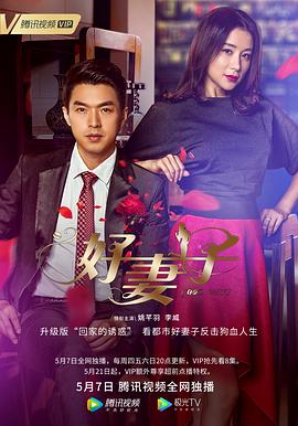【直链】电视剧《好妻子（2020）》 - 1080P/720P高清HD下载