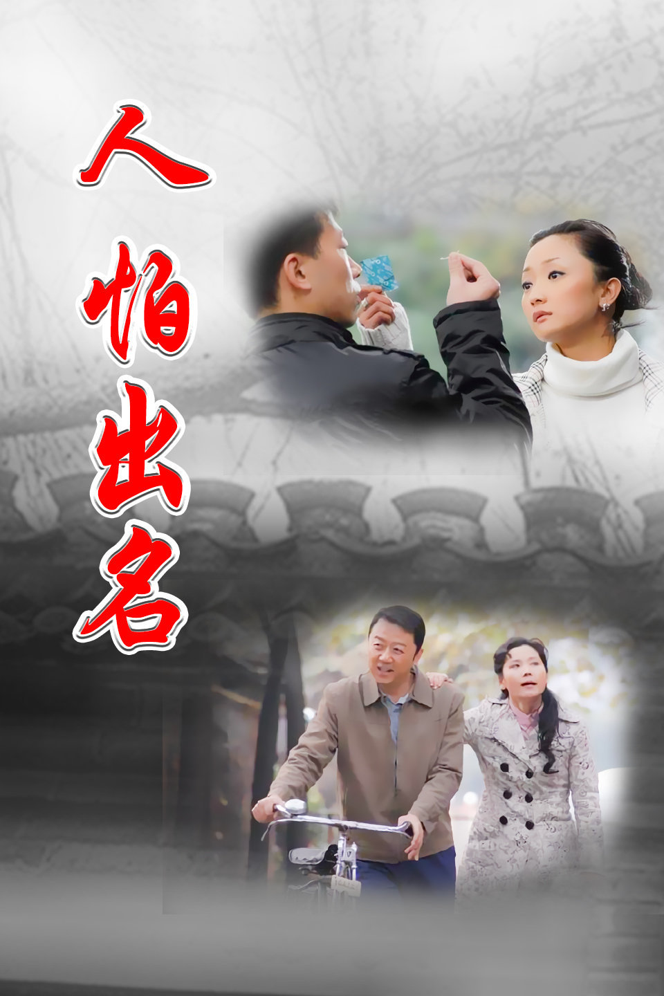 【直链】电视剧《人怕出名（2008）》 - 1080P/720P高清HD下载