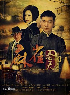 【直链】电视剧《麻雀春天（2014）》 - 1080P/720P高清HD下载