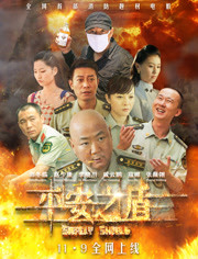 【直链】电影《平安之盾（2014）》 - 1080P/720P高清HD下载