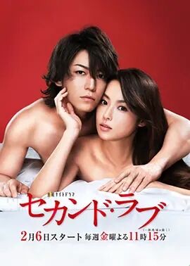 【直链】电视剧《第二爱情（2015）》 - 1080P/720P高清HD下载