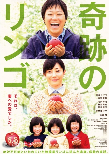 【直链】电影《奇迹的苹果（2013）》 - 1080P/720P高清HD下载